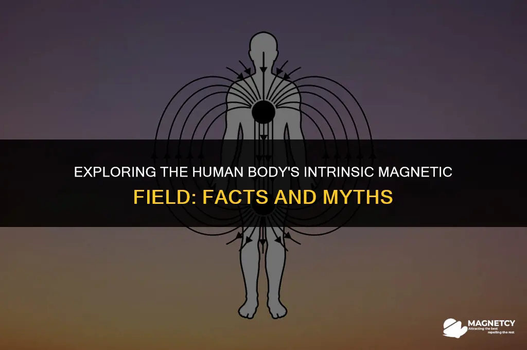 do we have magnetic field in our body