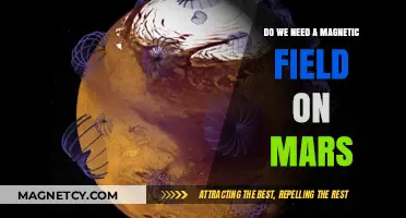 Exploring Mars: The Crucial Role of Magnetic Fields in Planetary Habitability