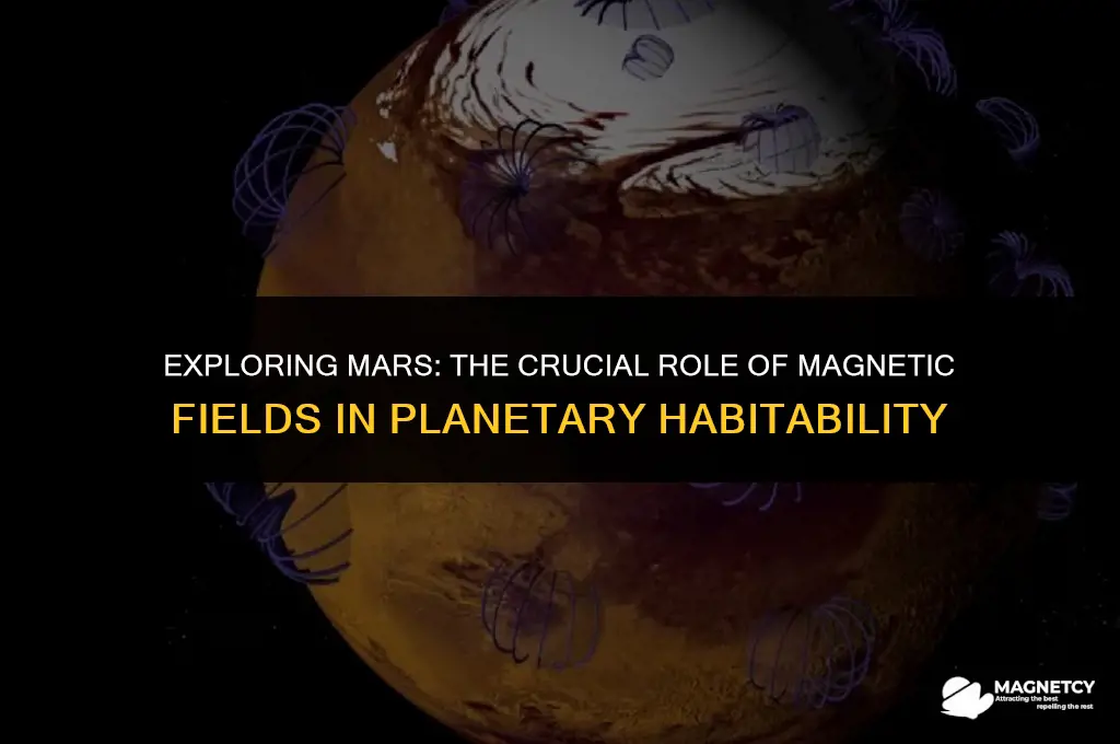 do we need a magnetic field on mars