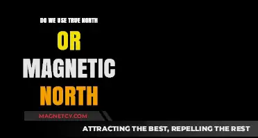 True North vs. Magnetic North: Which Direction Should We Follow?