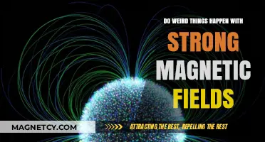 Exploring the Bizarre: How Strong Magnetic Fields Warp Reality