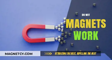 Exploring the Science Behind Wet Magnets: Do They Really Work?