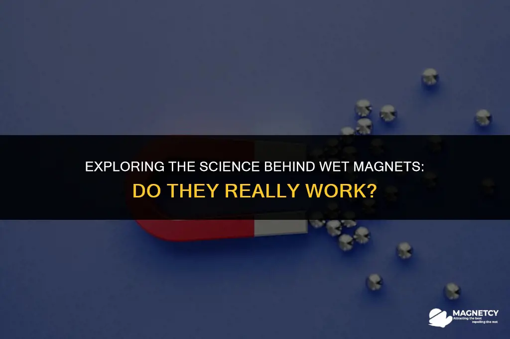 do wet magnets work