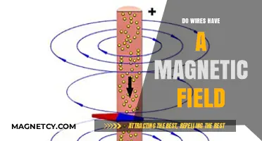 Exploring the Magnetic Mysteries: Do Wires Emit a Magnetic Field?