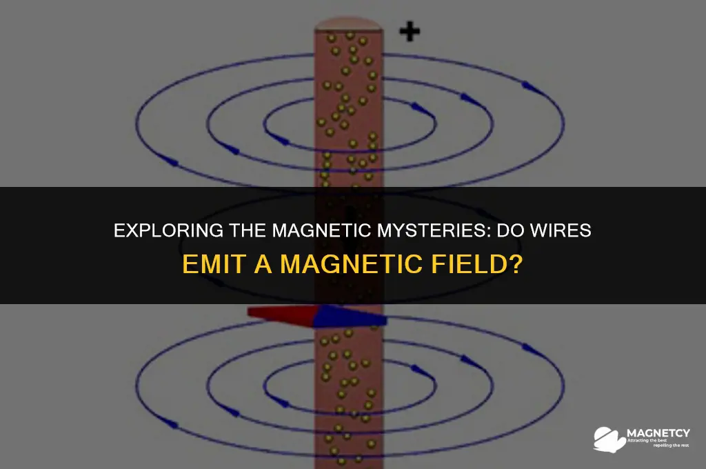 do wires have a magnetic field