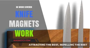 Exploring the Effectiveness of Wood-Covered Knife Magnets in Your Kitchen