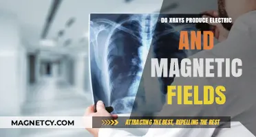 Exploring the Electromagnetic Nature of X-Rays: Facts and Myths