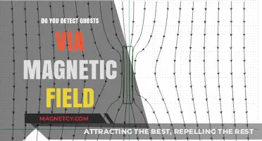 Exploring Paranormal Activity: Can Ghosts Be Detected Through Magnetic Fields?