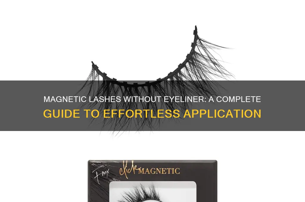 do you have to use eyeliner with magnetic lashes