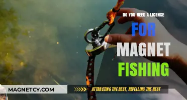 Exploring the Legalities: Magnet Fishing License Requirements Uncovered