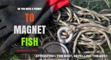 Exploring the Legalities: Magnet Fishing and Permit Requirements