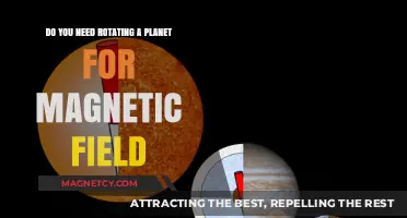 Exploring the Necessity of Planetary Rotation for Magnetic Fields