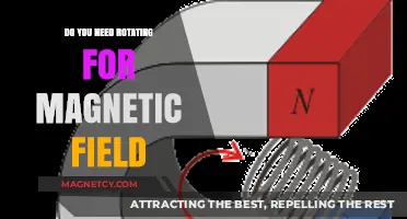Understanding Magnetic Fields: The Rotation Debate