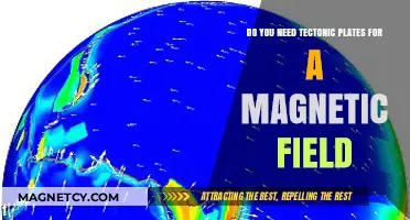 Exploring Earth's Magnetic Field: The Role of Tectonic Plates