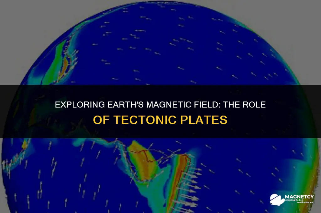do you need tectonic plates for a magnetic field