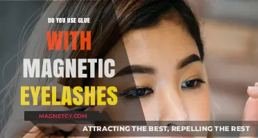 Magnetic Eyelashes: Glue-Free Application Tips and Tricks Revealed