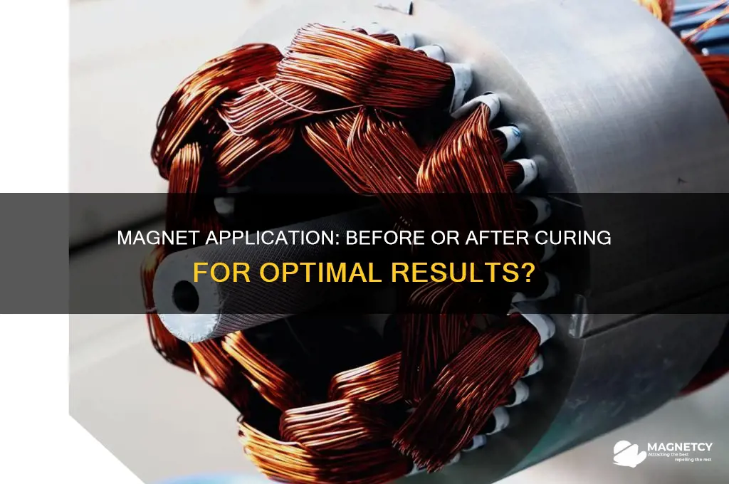 do you use the magnet before or after curing