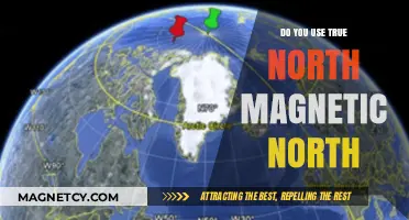 True North vs. Magnetic North: Which One Guides Your Navigation?