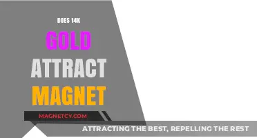 Is 14K Gold Magnetic? Unveiling the Truth About Gold and Magnets