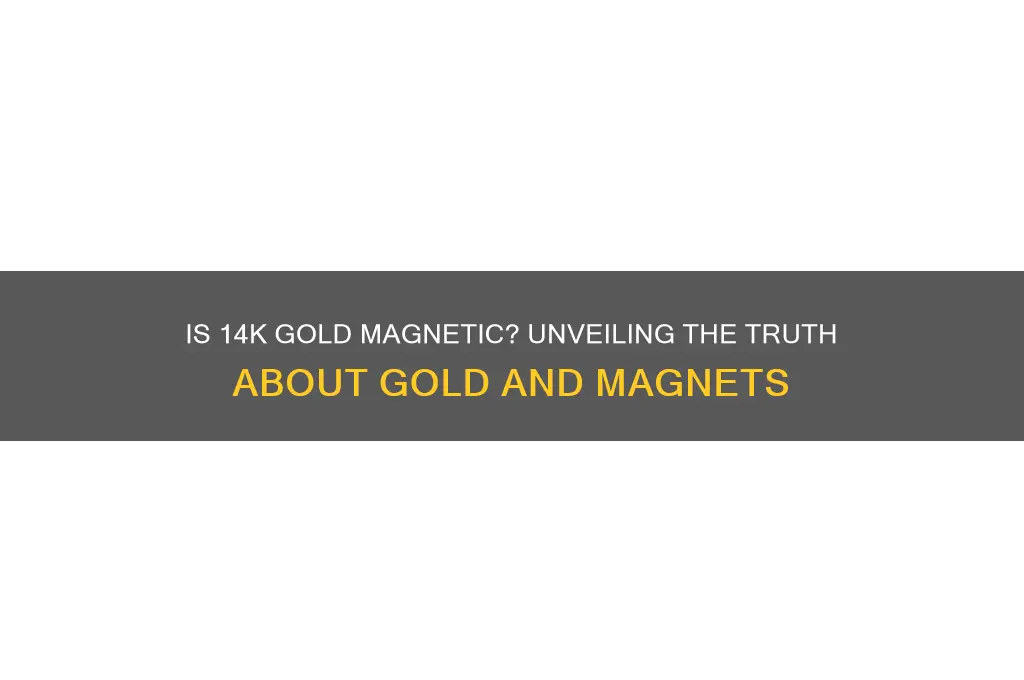 does 14k gold attract magnet