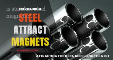 Does 304 Stainless Steel Attract Magnets? Unraveling the Magnetic Mystery
