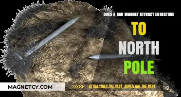 Does a Bar Magnet Attract Lodestone to the North Pole?
