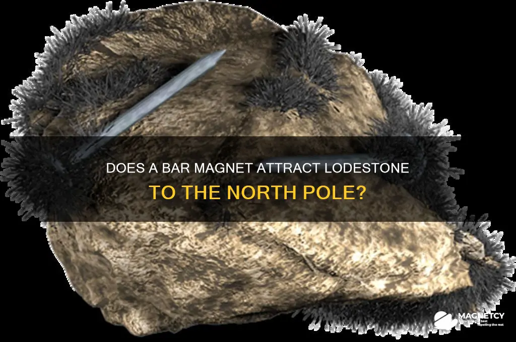 does a bar magnet attract lodestone to north pole