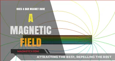 Exploring the Invisible Force: Does a Bar Magnet Have a Magnetic Field?