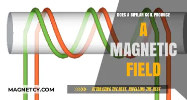 Exploring the Magnetic Field Generation of Bifilar Coils