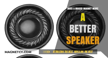 Exploring the Myth: Bigger Magnets and Better Speaker Quality