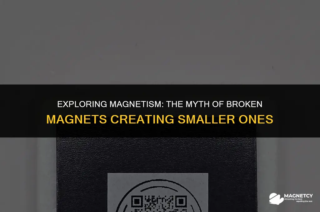 does a broken magnet make two smaller ones