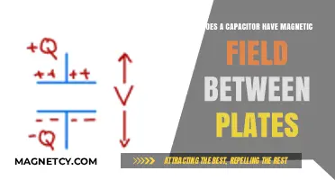 Exploring the Magnetic Mysteries Between Capacitor Plates