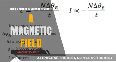 Exploring Electromagnetism: How Voltage Changes Create Magnetic Fields