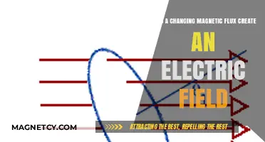 Exploring Electromagnetism: How Changing Magnetic Flux Generates Electric Fields
