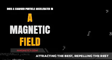 Exploring the Dynamics: Charged Particles in Magnetic Fields