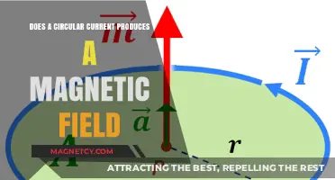 Exploring the Magnetic Mysteries of Circular Currents