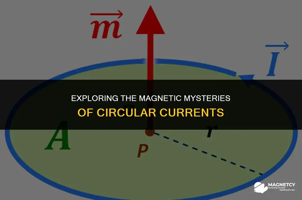 does a circular current produces a magnetic field