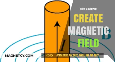 Unveiling the Truth: Copper's Role in Magnetic Fields Explained