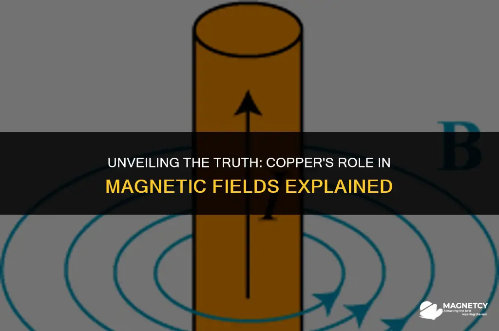does a copper create magnetic field