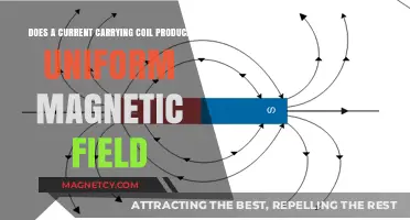 Exploring the Magnetic Field Uniformity of Current-Carrying Coils
