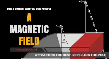 Exploring Electromagnetism: The Magnetic Field of a Current-Carrying Wire