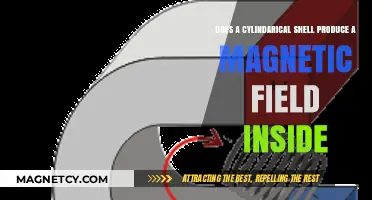 Exploring the Magnetic Mysteries of Cylindrical Shells: An In-Depth Look