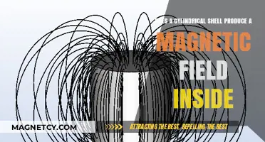 Exploring the Magnetic Field Inside a Cylindrical Shell