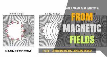 Exploring the Limits: Faraday Cages and Magnetic Field Isolation