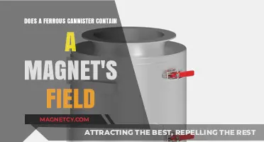Exploring Magnetic Fields: The Truth About Ferrous Cannisters