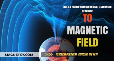 Exploring the Link Between Numerical Values and Magnetic Field Responses
