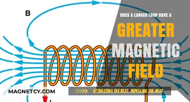 Exploring the Relationship Between Loop Size and Magnetic Field Strength