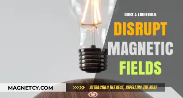 Illuminating Truth: Do Lightbulbs Disrupt Magnetic Fields?