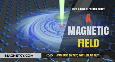 Exploring the Magnetic Mysteries of Lone Electrons