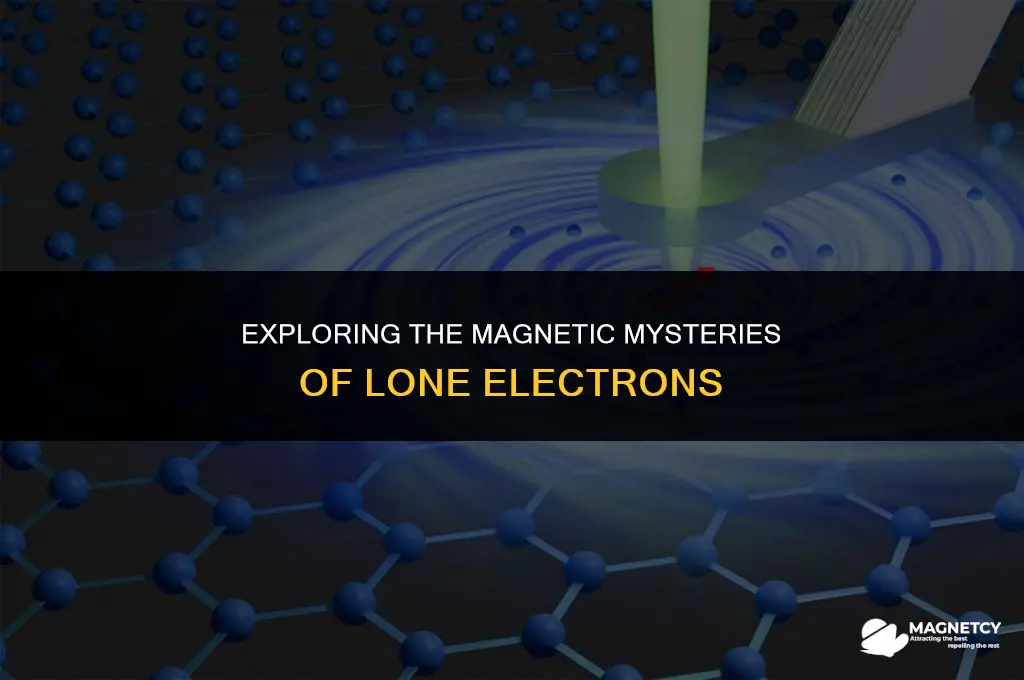 does a lone electron carry a magnetic field